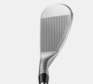 TITLEIST BV-SM11 10F